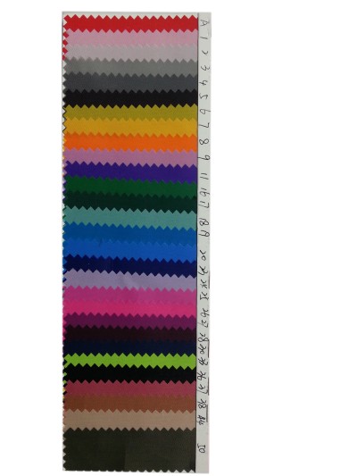 DG-BICG BC-2101 PL   背囊面料 正面照